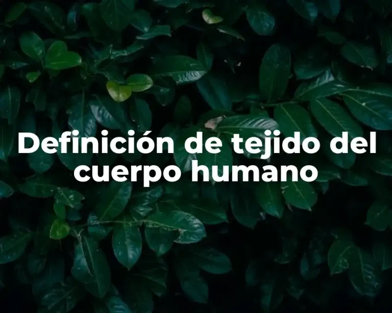 Definición de tejido del cuerpo humano
