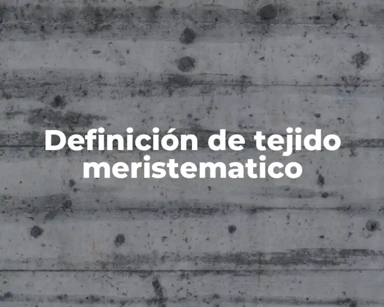 Definición de tejido meristematico