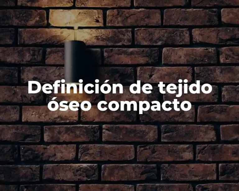 Definición de tejido óseo compacto