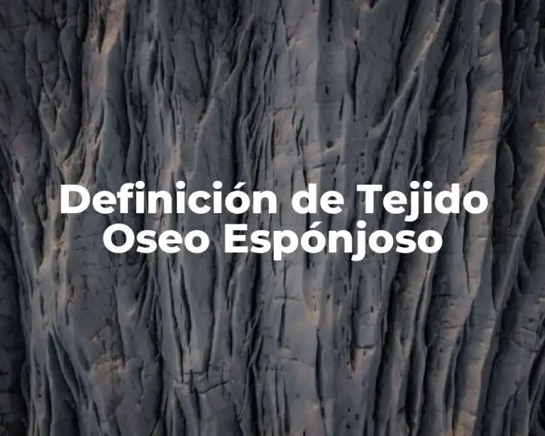 Definición de Tejido Oseo Espónjoso