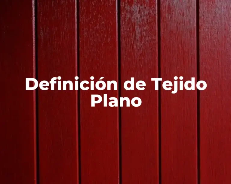 Definición de Tejido Plano