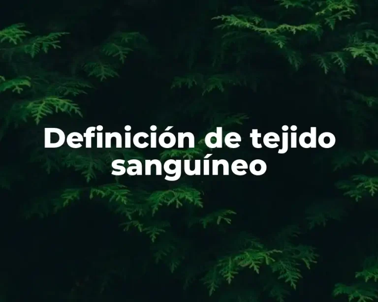 Definición de tejido sanguíneo