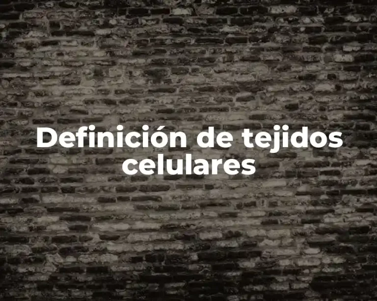 Definición de tejidos celulares