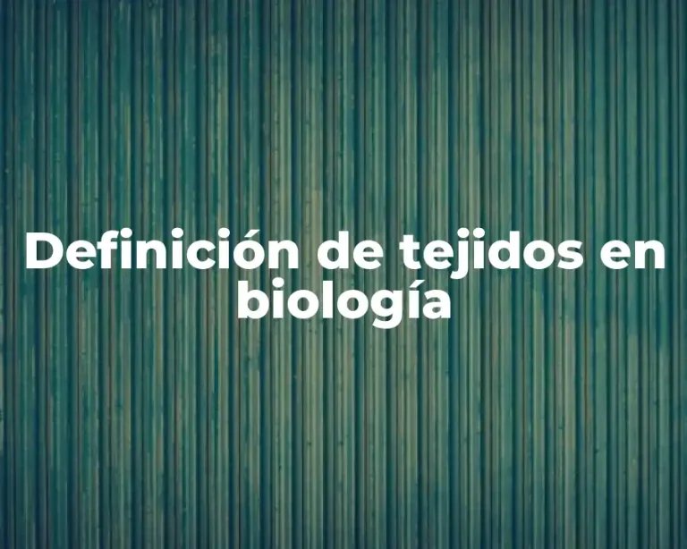 Definición de tejidos en biología