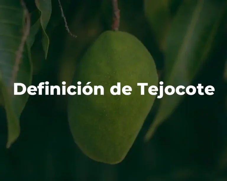 Definición de Tejocote