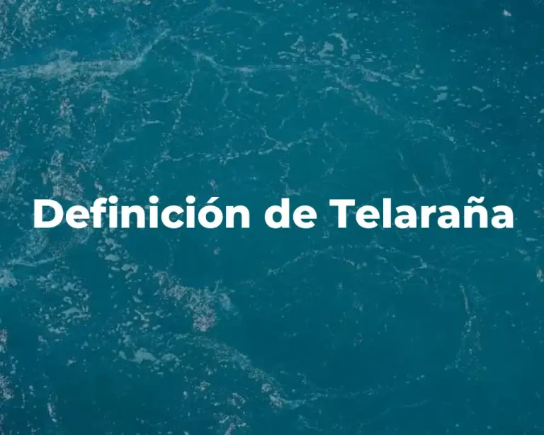 Definición de Telaraña