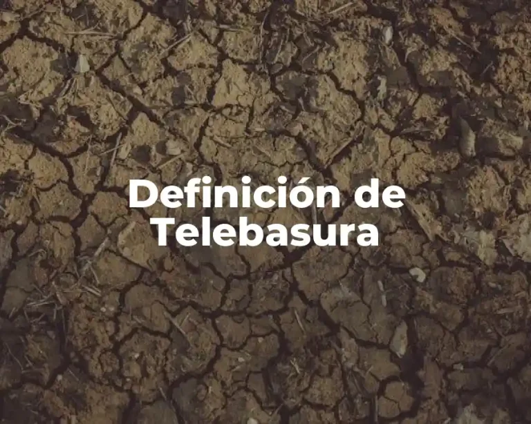 Definición de Telebasura