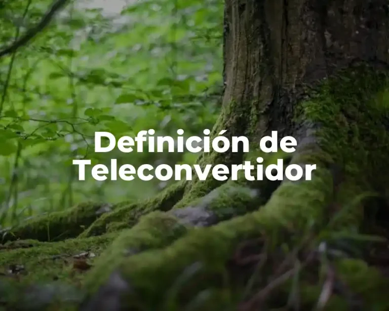 Definición de Teleconvertidor
