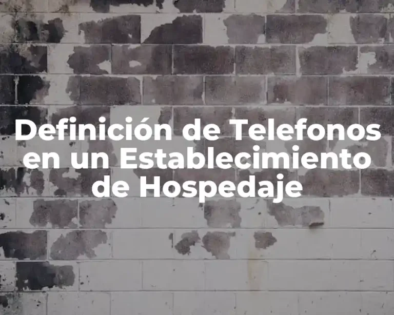 Definición de Telefonos en un Establecimiento de Hospedaje