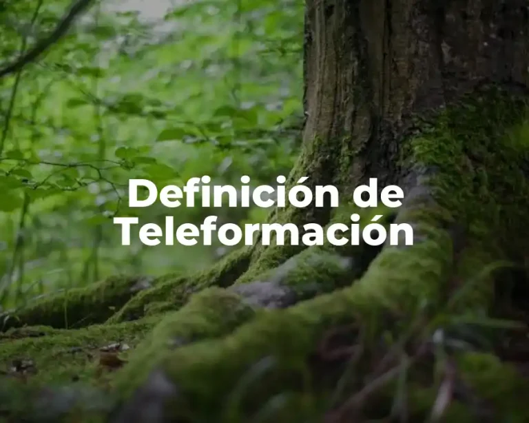 Definición de Teleformación