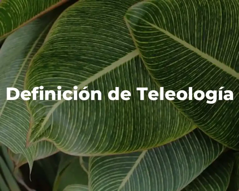 Definición de Teleología