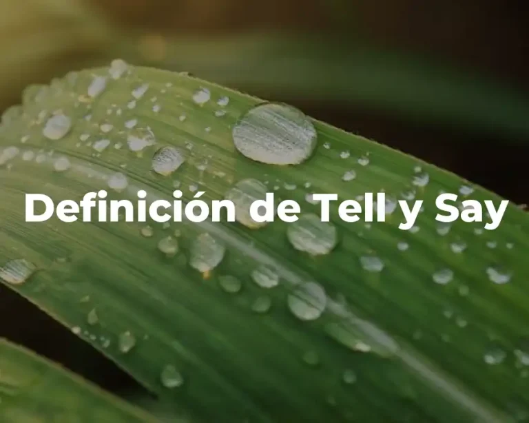 Definición de Tell y Say