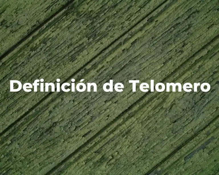 Definición de Telomero