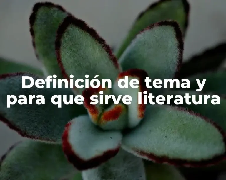 Definición de tema y para que sirve literatura