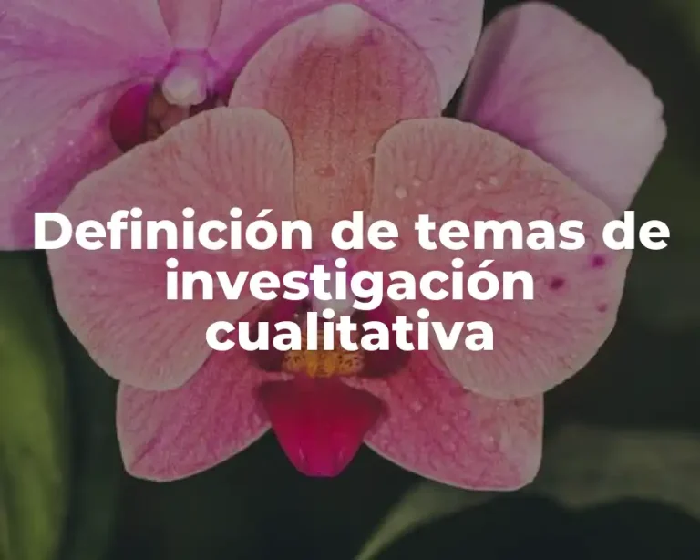 Definición de temas de investigación cualitativa