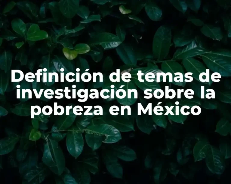 Definición de temas de investigación sobre la pobreza en México