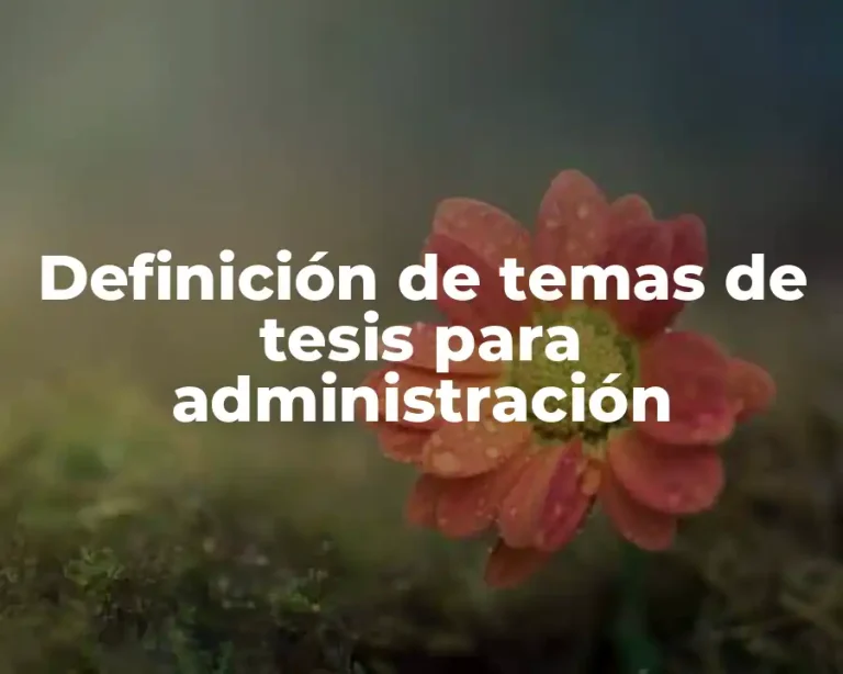 Definición de temas de tesis para administración