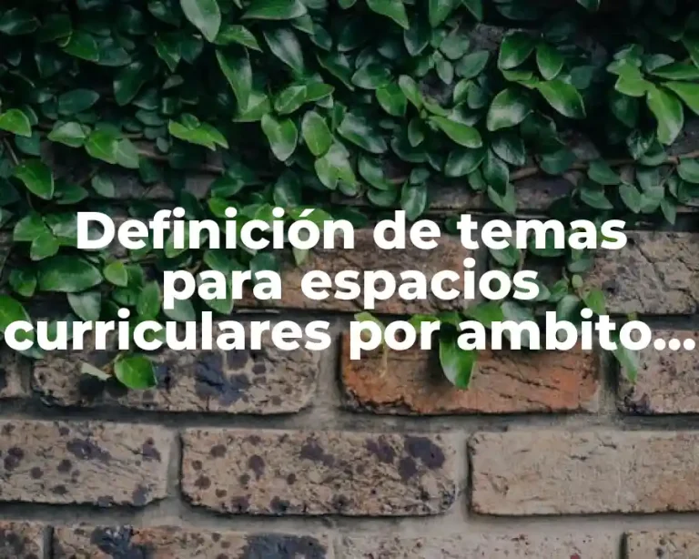 Definición de temas para espacios curriculares por ambito en secundaria