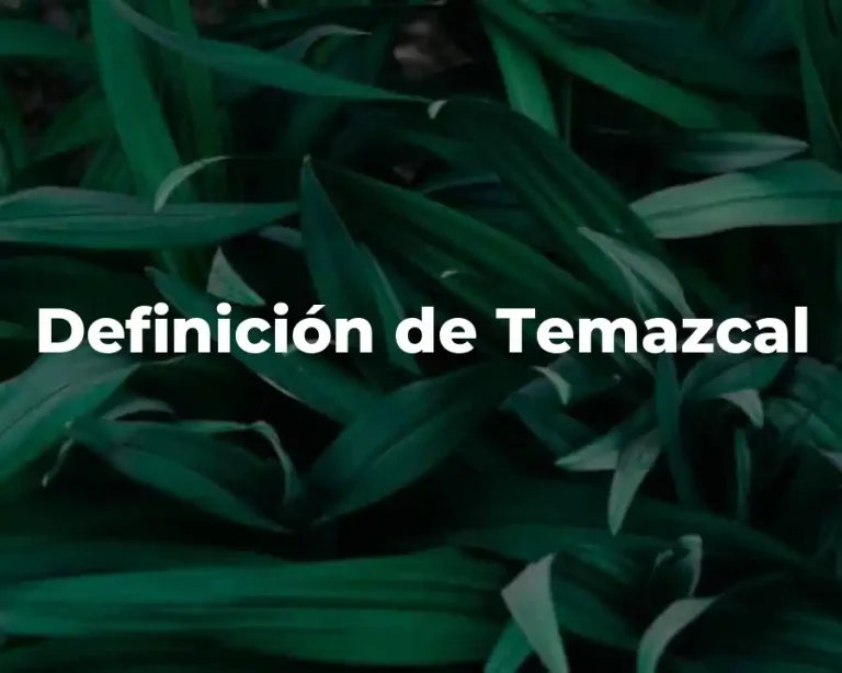Definición de Temazcal