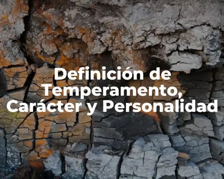 Definición de Temperamento, Carácter y Personalidad