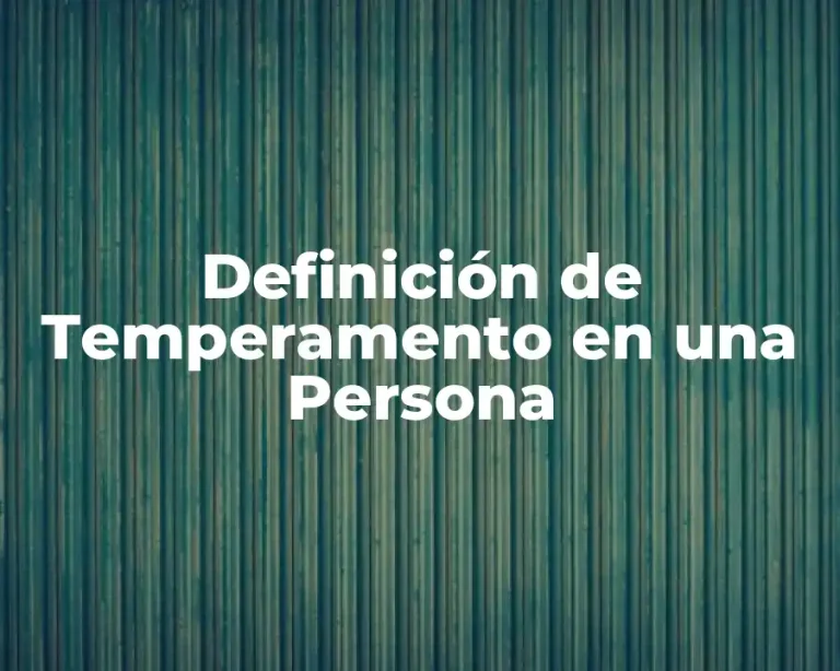Definición de Temperamento en una Persona