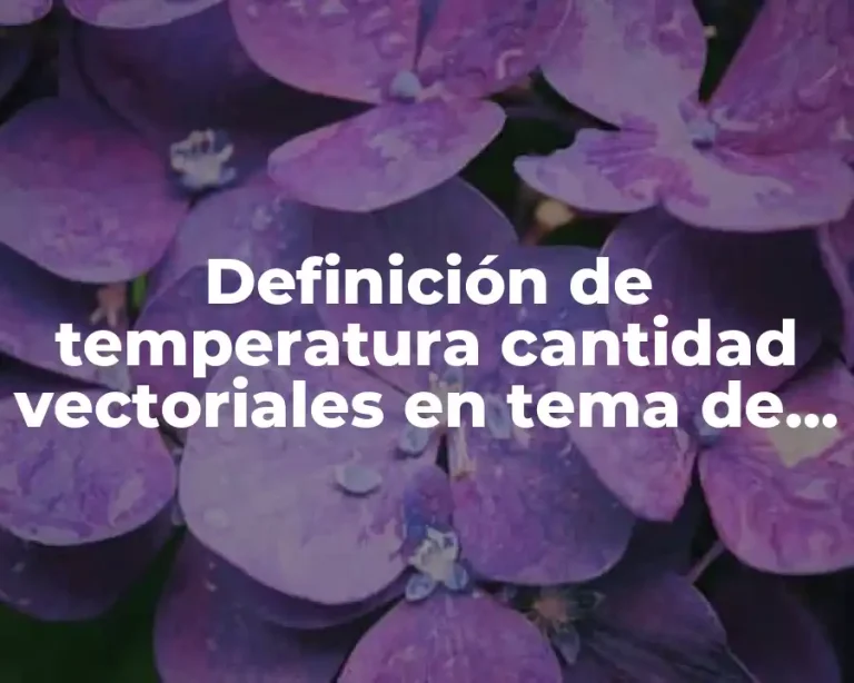 Definición de temperatura cantidad vectoriales en tema de física