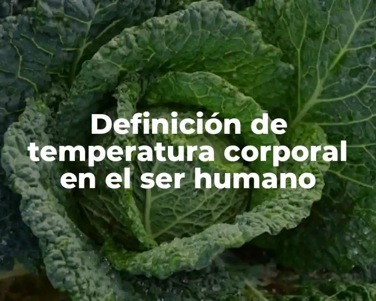 Definición de temperatura corporal en el ser humano