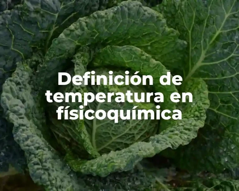 Definición de temperatura en físicoquímica