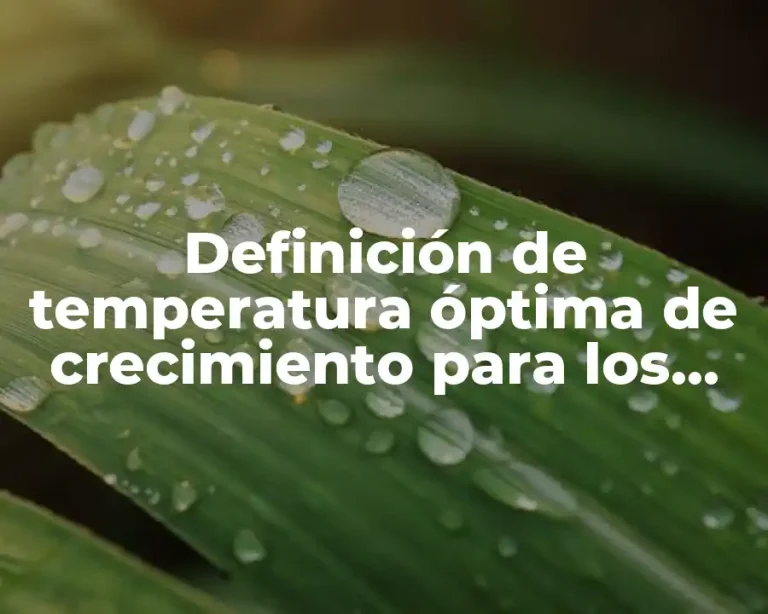 Definición de temperatura óptima de crecimiento para los microorganismos