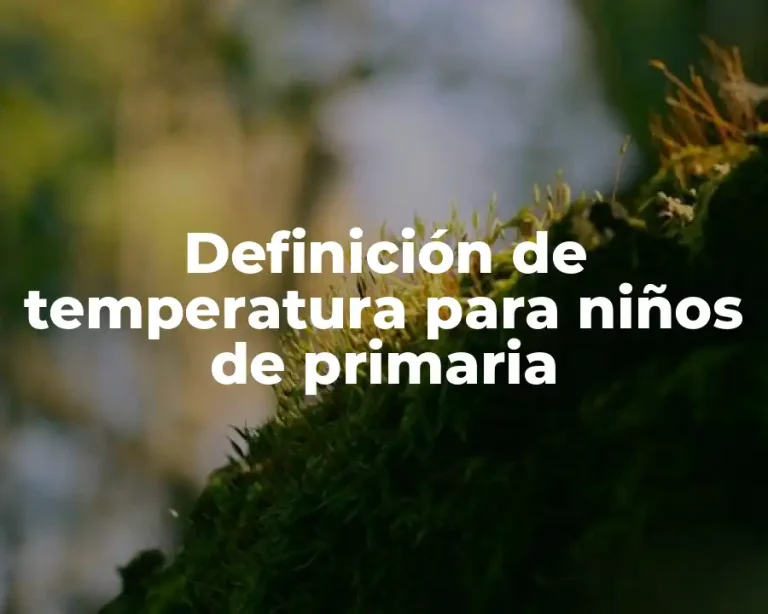 Definición de temperatura para niños de primaria