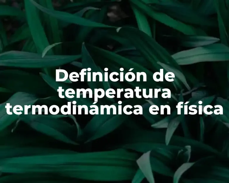 Definición de temperatura termodinámica en física