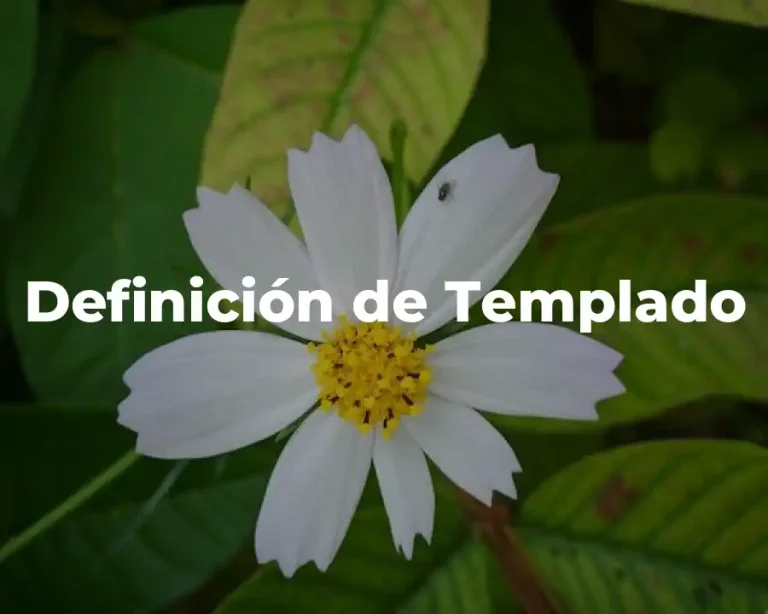 Definición de Templado