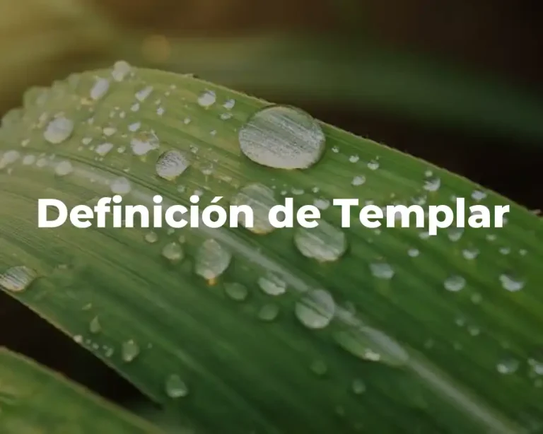 Definición de Templar