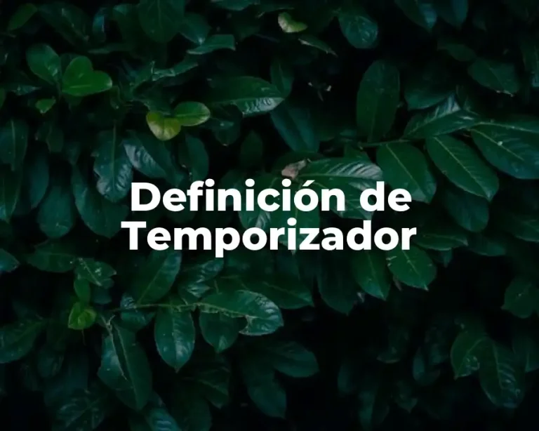Definición de Temporizador