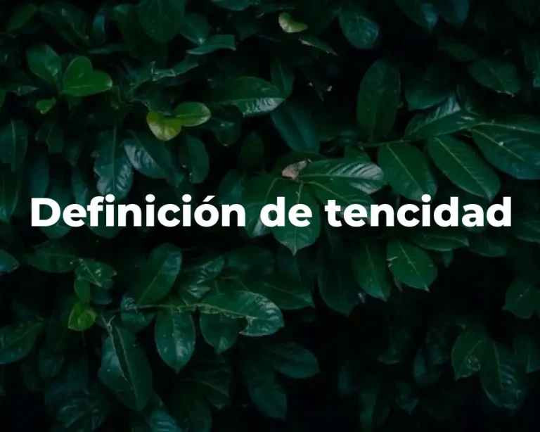 Definición de tencidad
