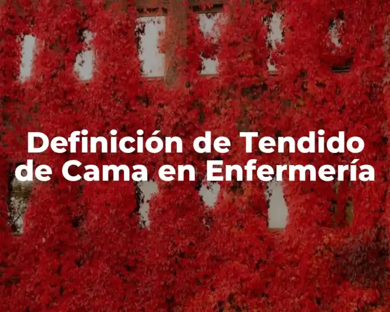 Definición de Tendido de Cama en Enfermería