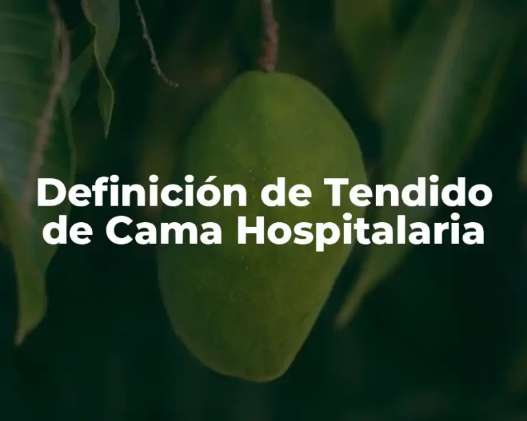 Definición de Tendido de Cama Hospitalaria