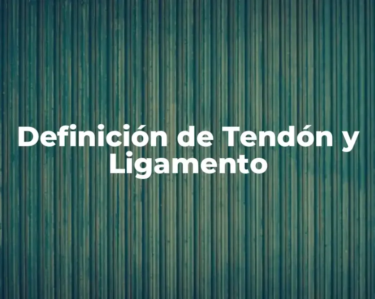 Definición de Tendón y Ligamento