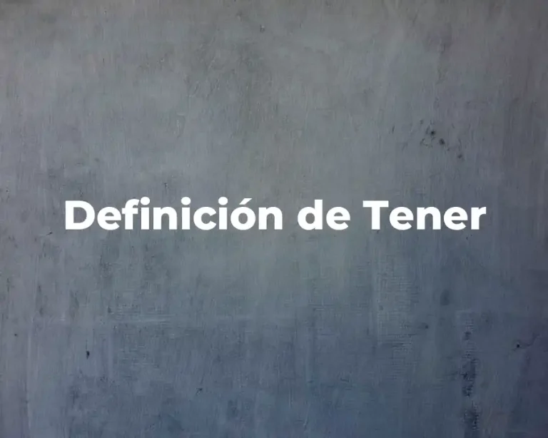 Definición de Tener