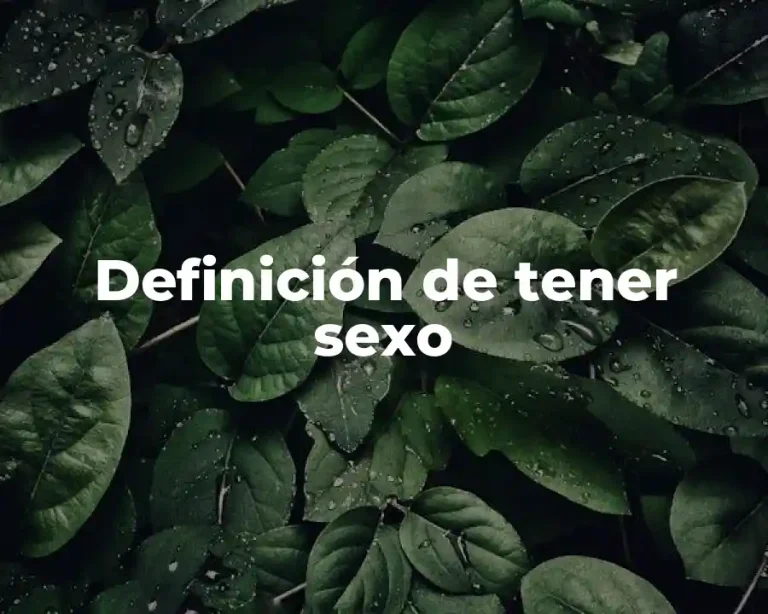 Definición de tener sexo