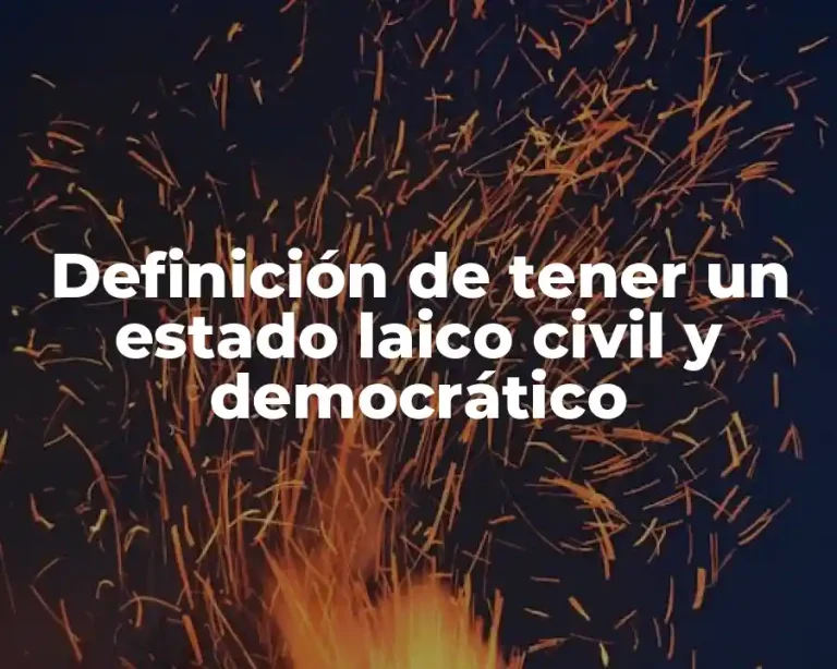 Definición de tener un estado laico civil y democrático