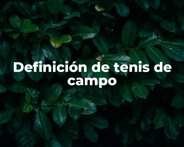 Definición de tenis de campo