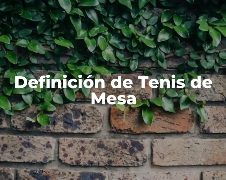 Definición de Tenis de Mesa
