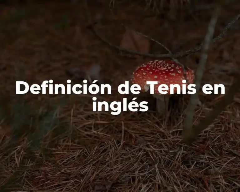 Definición de Tenis en inglés