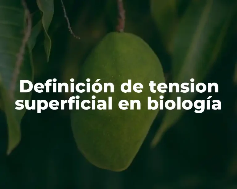 Definición de tension superficial en biología