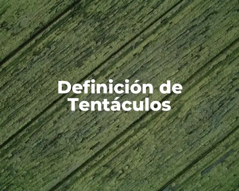 Definición de Tentáculos