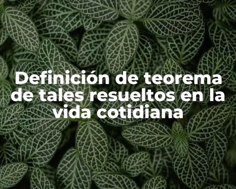 Definición de teorema de tales resueltos en la vida cotidiana