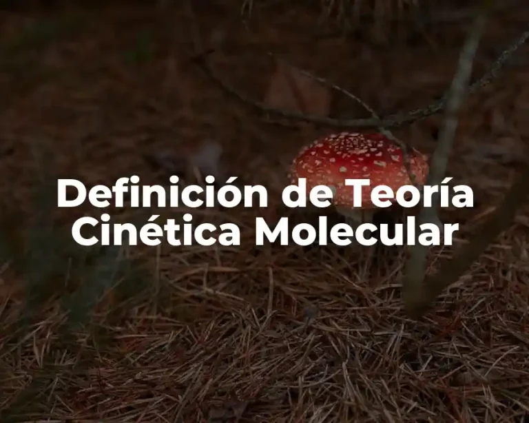 Definición de Teoría Cinética Molecular