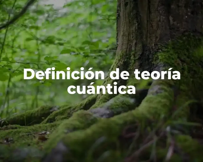 Definición de teoría cuántica