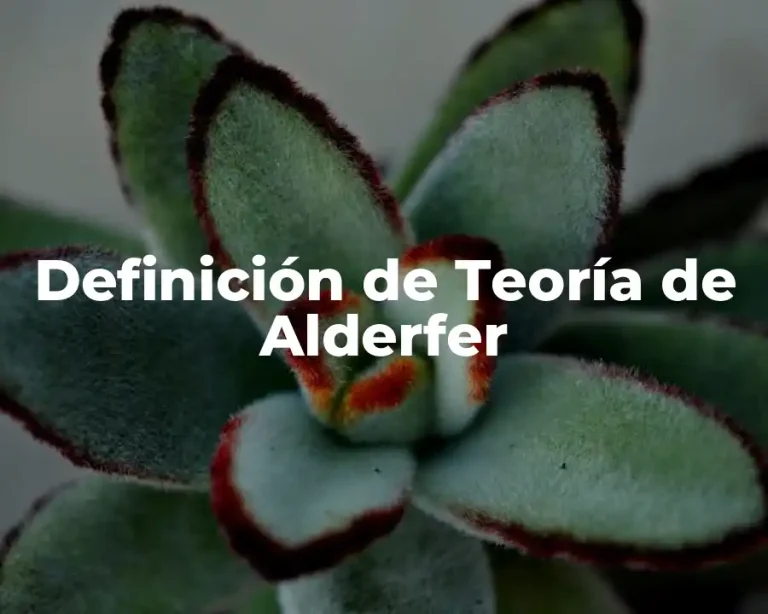 Definición de Teoría de Alderfer